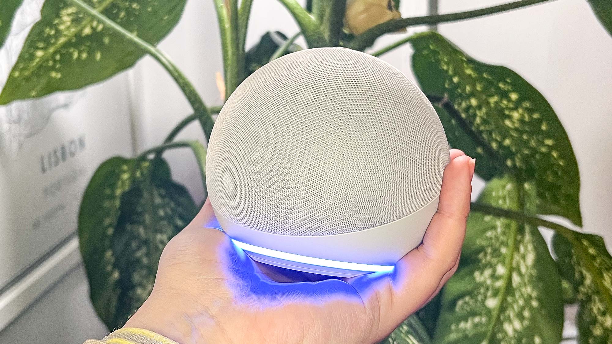 Amazon Echo Dot (דור חמישי)