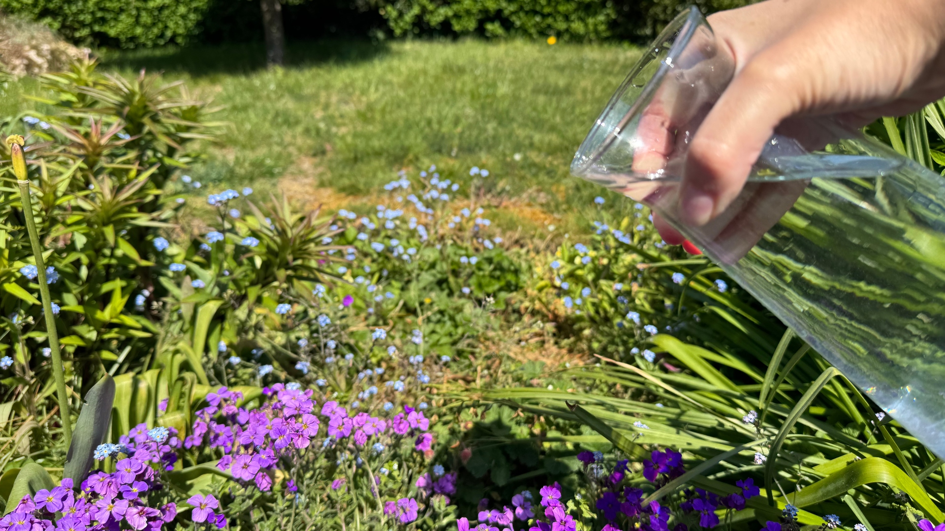 מים נשפכים לגינה