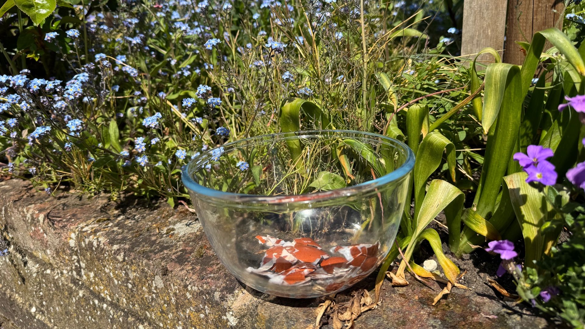 Eggshells in a bowl on a wall