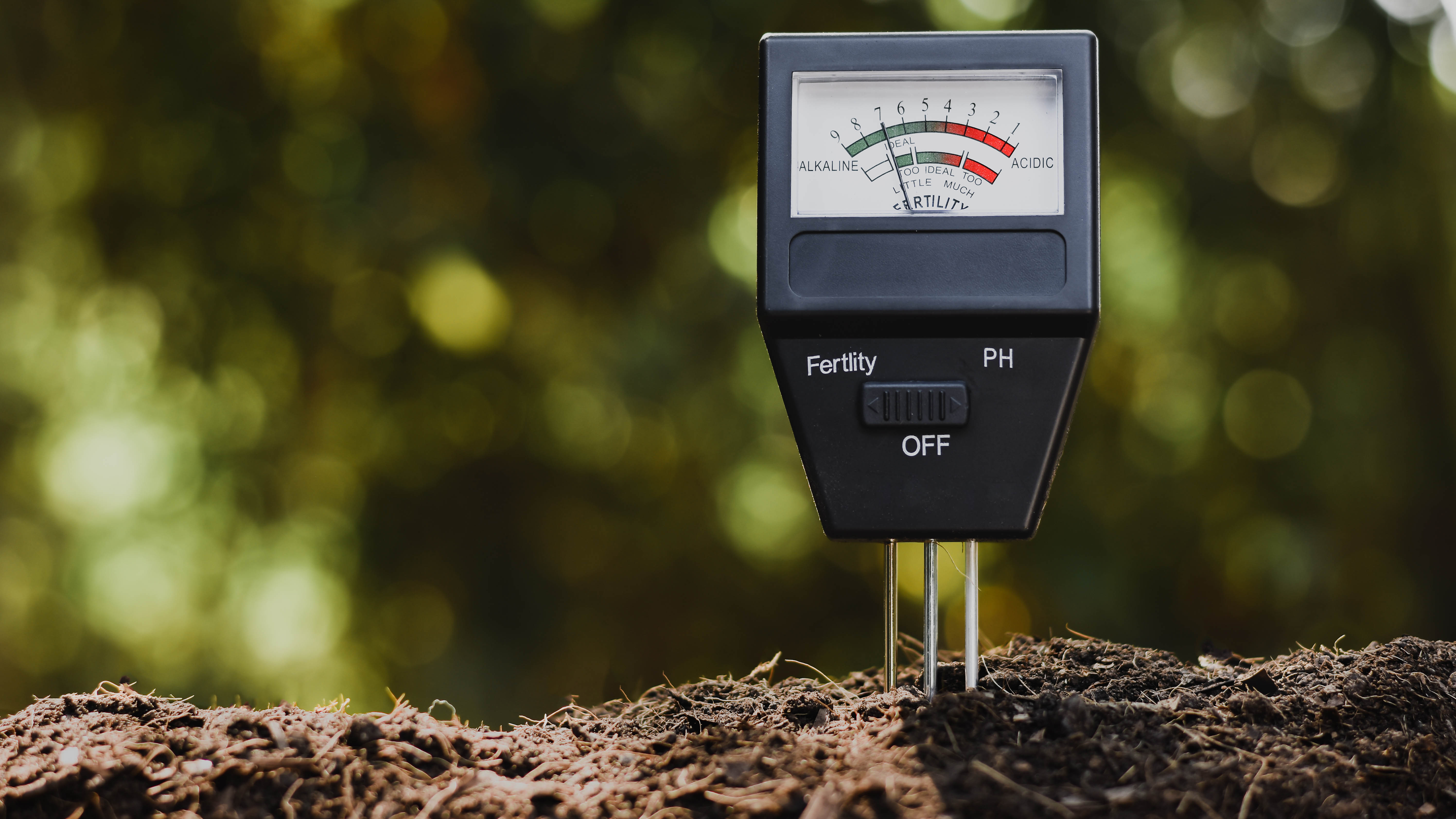 מד ph של אדמה באדמה