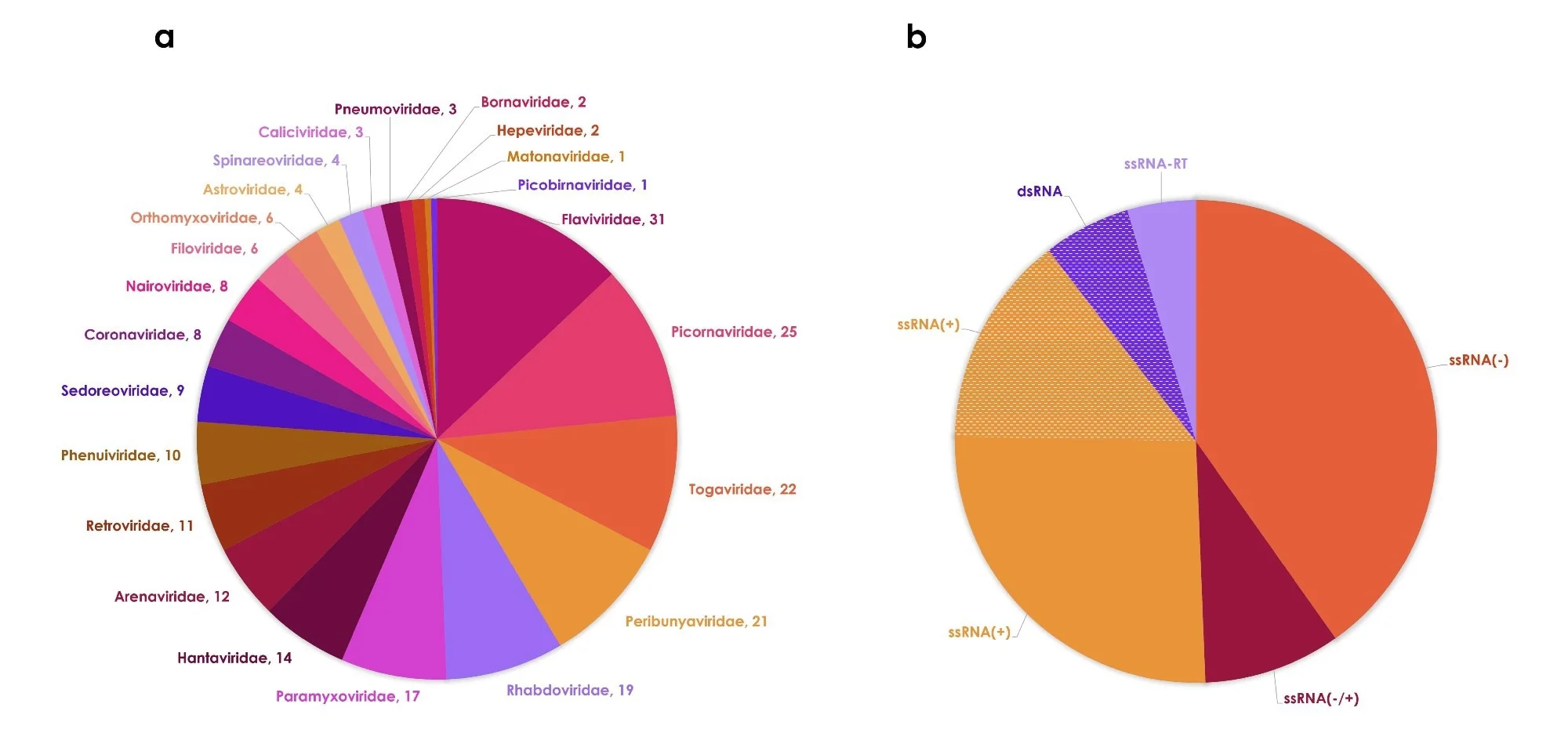הספירה השנתית של זני וירוס RNA חדשים ומוכרים (כרגע) ICTV, זיהומיים בבני אדם, מוצגת באיור 2a. איור 2b מתאר הצטברות של מינים לאורך זמן, כמו גם הצטברות של סוגים ושל משפחות המכילות מין אחד או יותר של נגיף RNA נגוע באדם. נגיף ה-RNA האנושי הראשון - וירוס הקדחת הצהובה - דווח בשנת 1901. מספר המינים גדל באיטיות עד אמצע שנות ה-50 ומעט מהר יותר לאחר מכן. עד סוף המאה ה-20 זוהו 178 מינים, ובמאה ה-21 עד כה נוספו עוד 61. עד לעשור, שנות ה-60 תרמו באופן ניכר את המספר הגדול ביותר של מינים חדשים (42). לאחר מכן היו שנות ה-2000 (31) אך השיעור ירד שוב בשנות ה-2010.