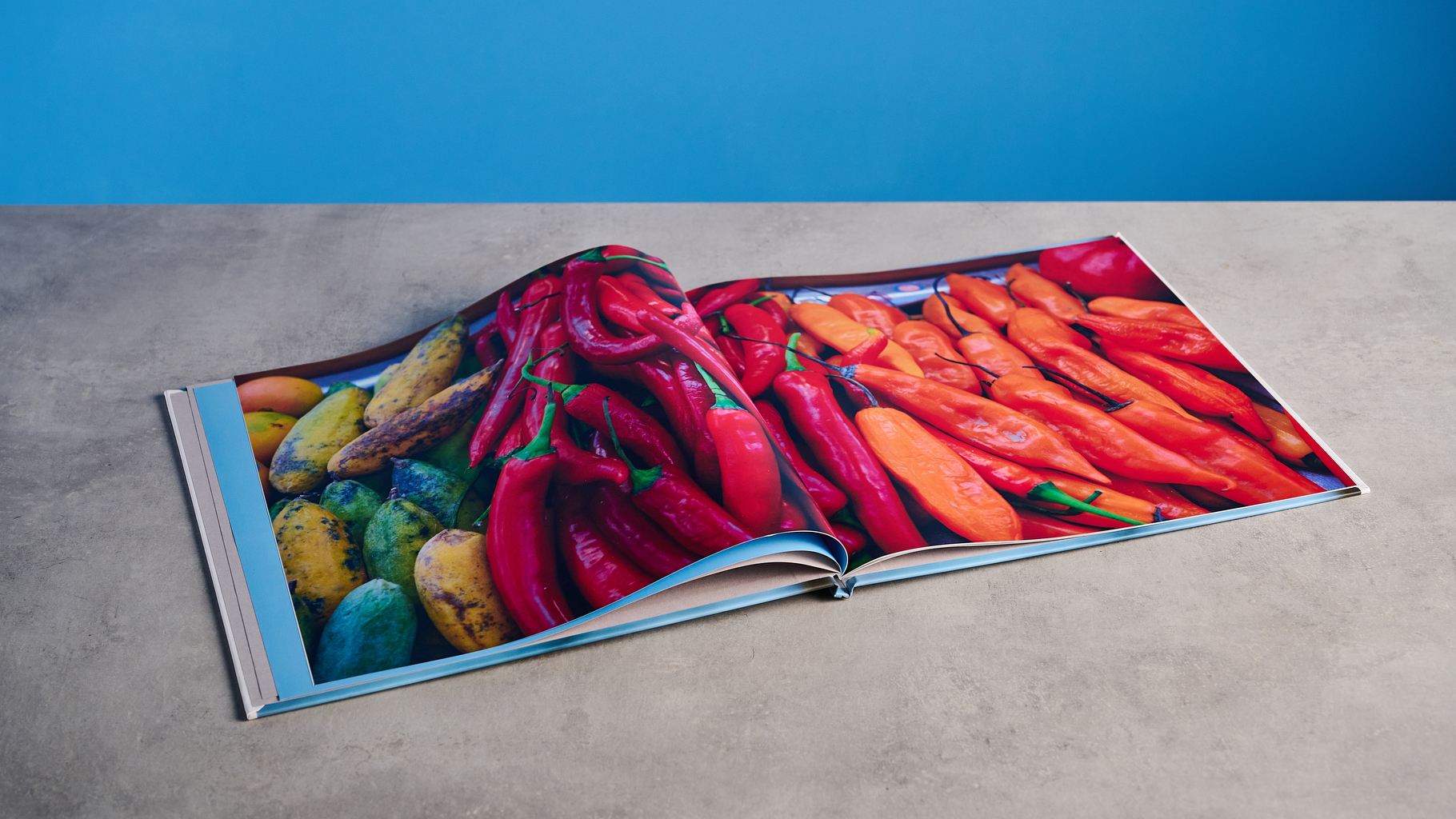 ספר תצלומים כפול שצולם על שולחן מול רקע כחול