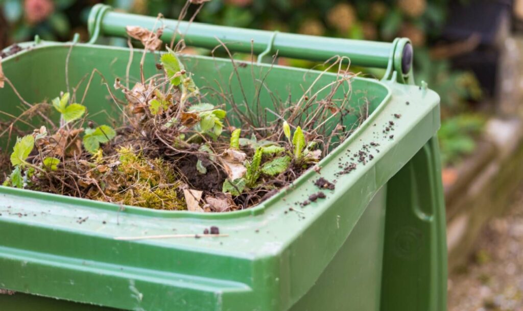 Green bin filled with yard waste