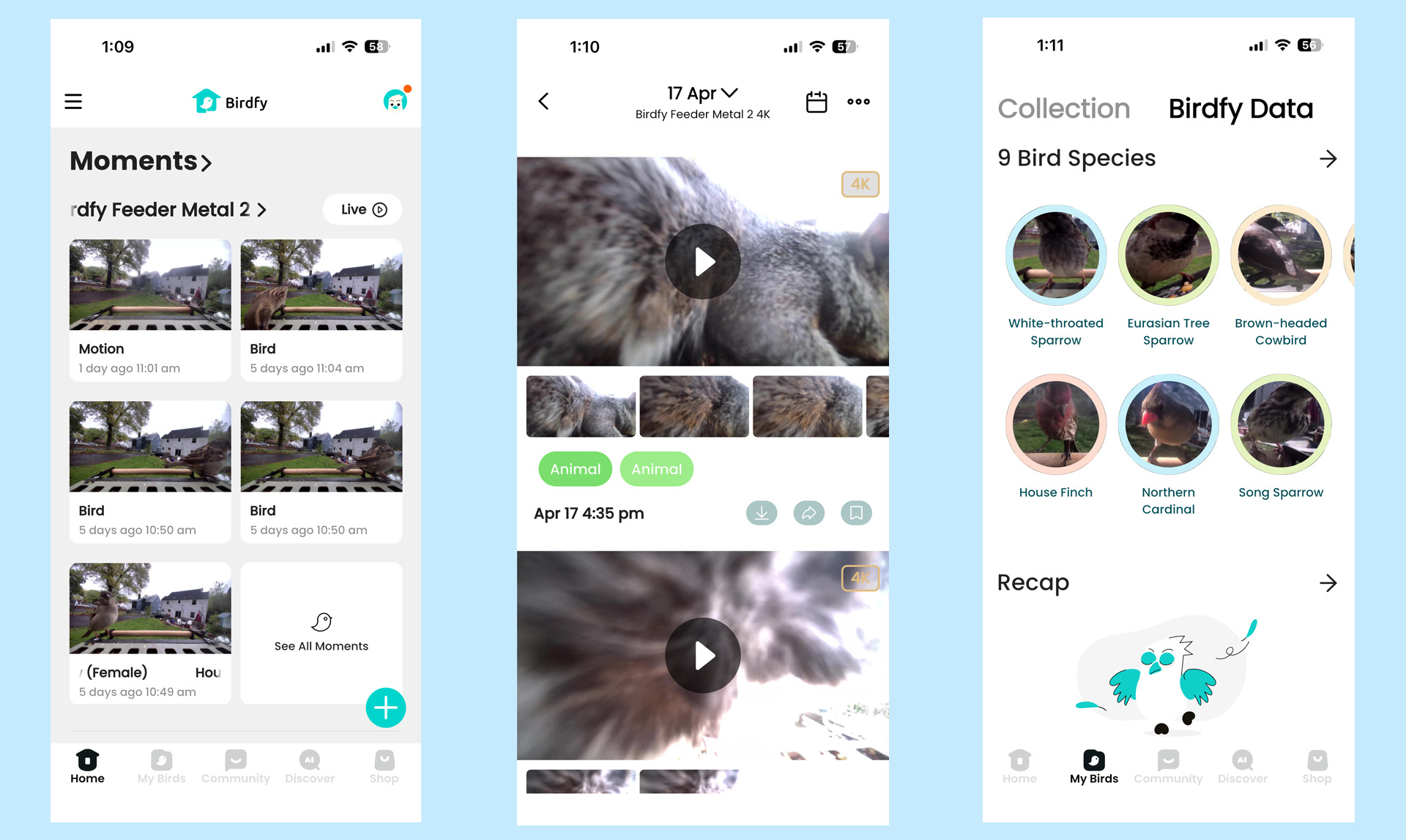 צילומי מסך של Birdfy Metal 2 4K Smart Bird Feeder