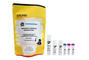 Atelerix משיקה פתרון שימור ללא קריו STORganoid עבור מודלים מורכבים של תאים תלת מימדיים