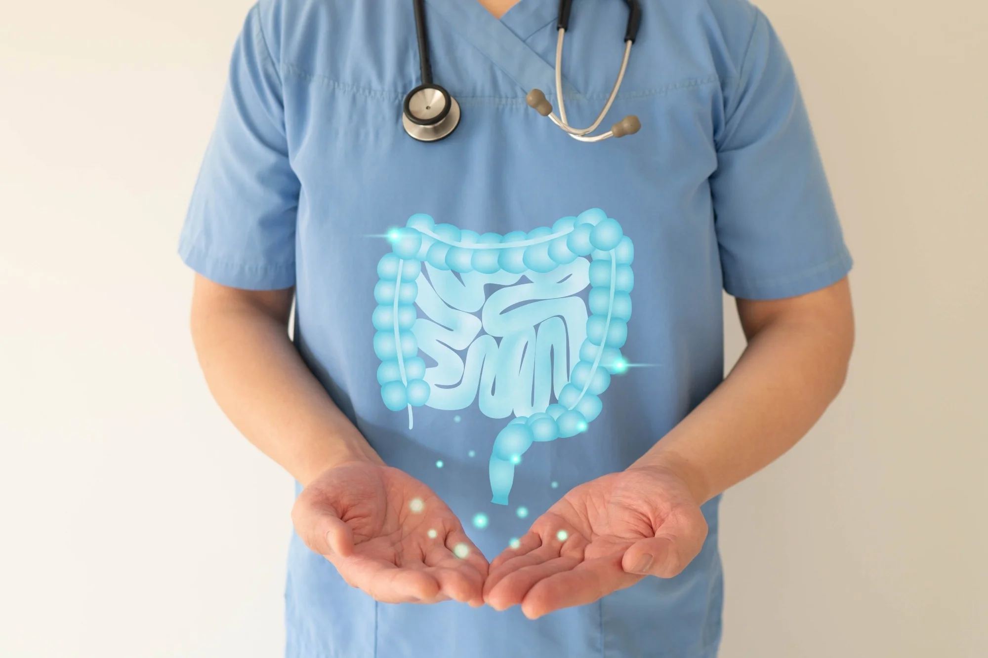 Illustration of healthy intestine anatomy on doctor hands.
