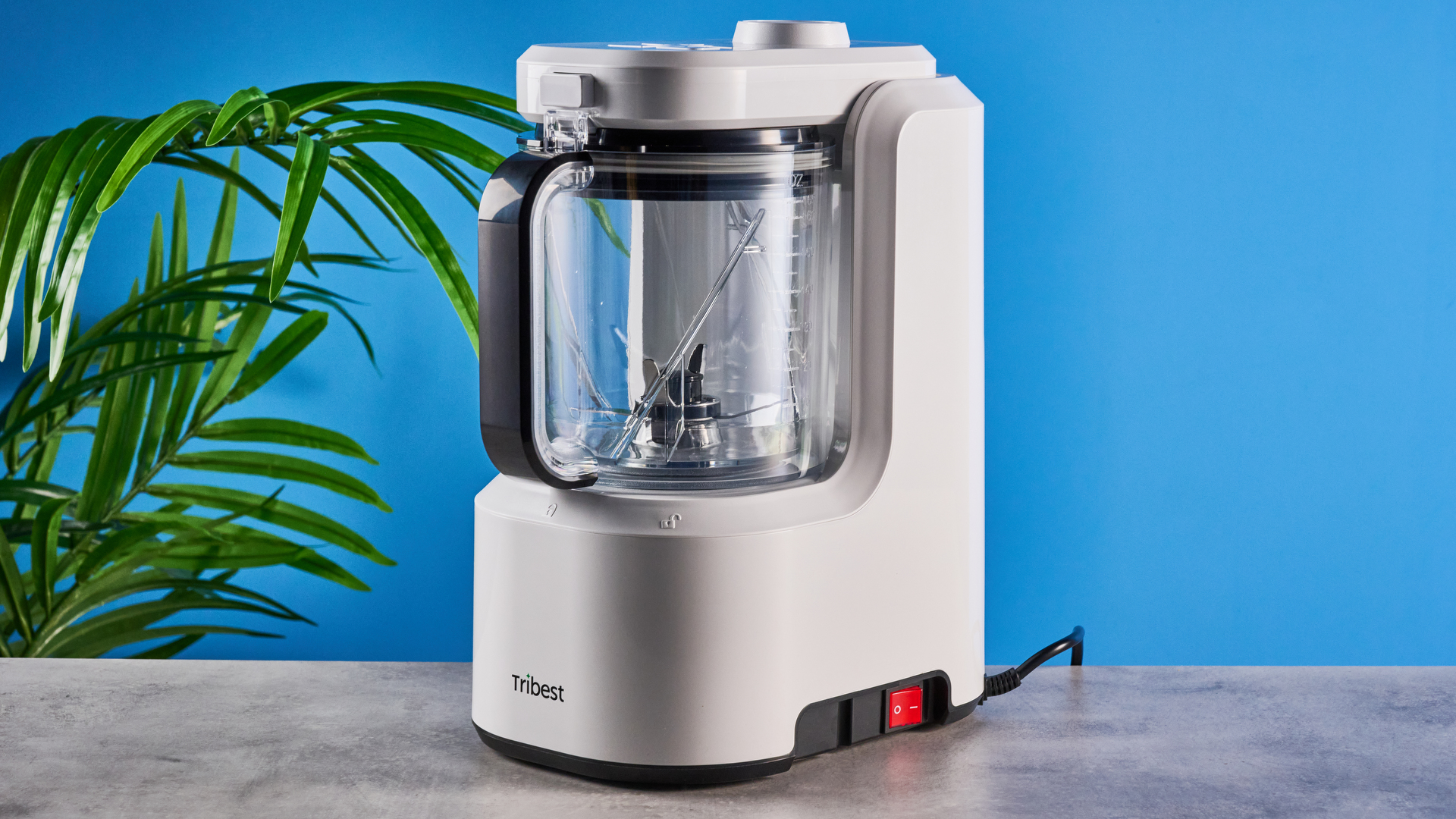 Tribest Backspin בלנדר שצולם מול רקע כחול