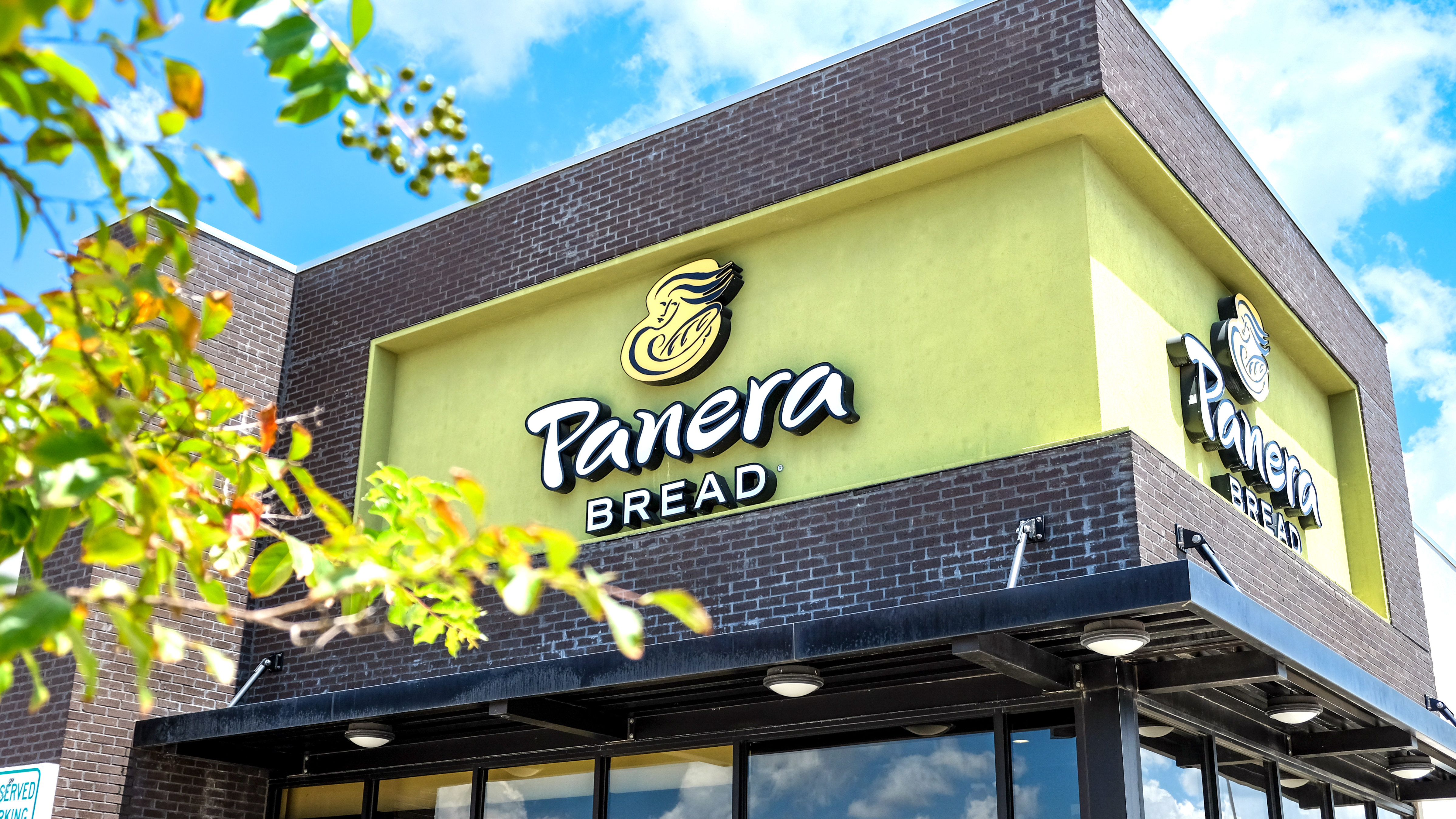חנות לחם Panera ביום שמשי עם עץ בצד שמאל