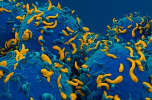 מדענים מעצבים מחדש תאי CAR-T כדי להילחם יותר מאשר בסרטן