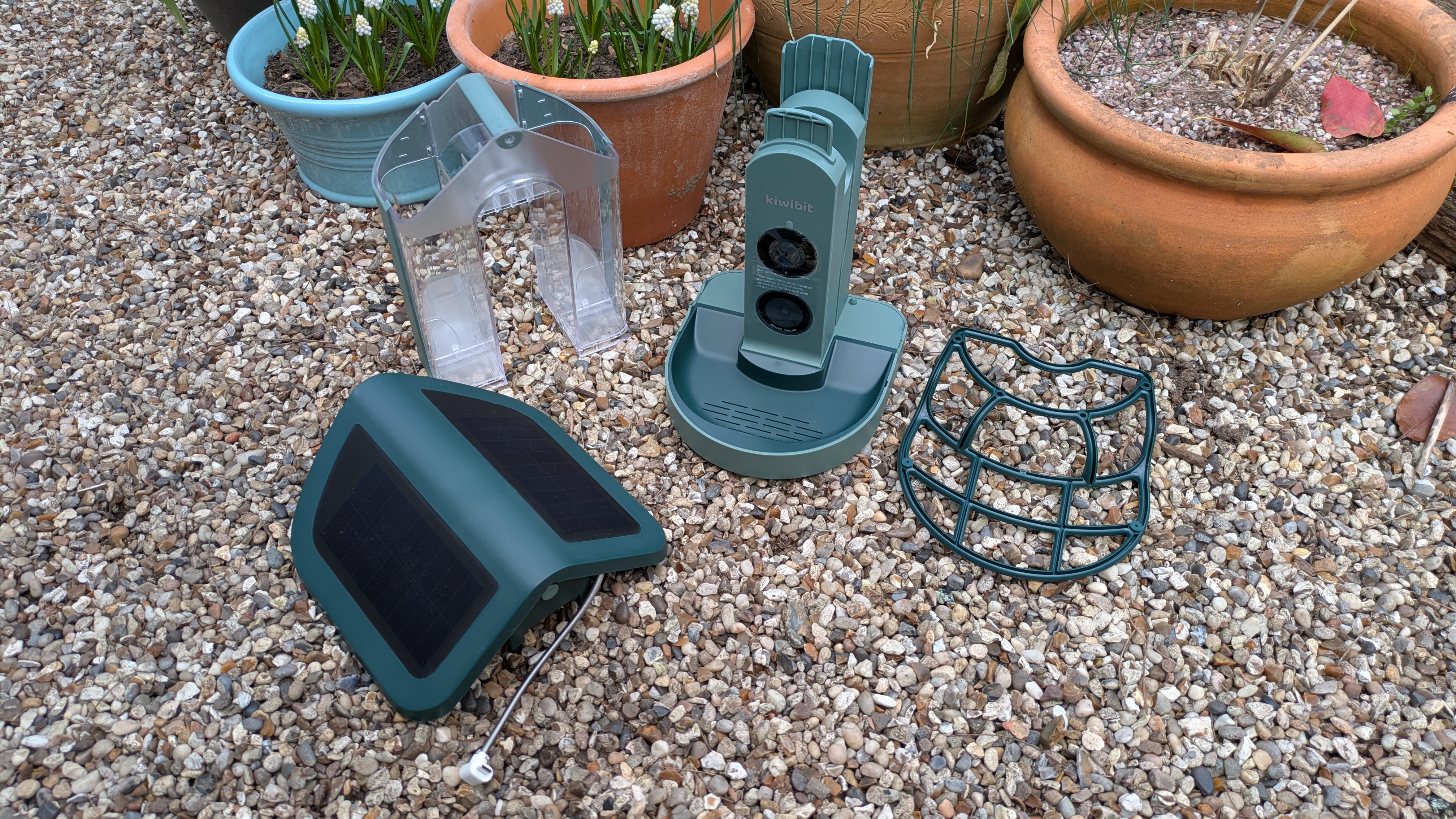 מזין ציפור חכם Kiwibit Beako