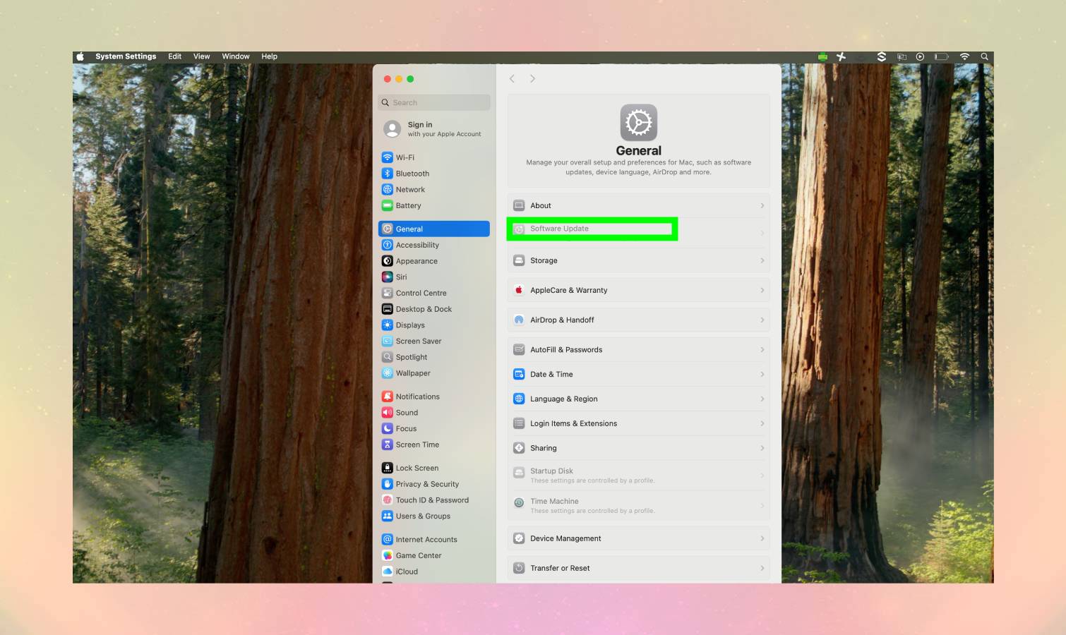 עדכון תוכנה מודגש בהגדרות Mac