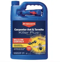 BioAdvanced Carpenter נמלה תרסיס באג