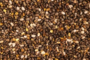 Study: Chia seed enrichment in high-fat-high-sugar diet-induced obesity: a strategy to increase DHA levels in maternal tissues and in fetal placenta and brain during pregnancy. mage Credit: Very Hungry Owl / Shutterstock