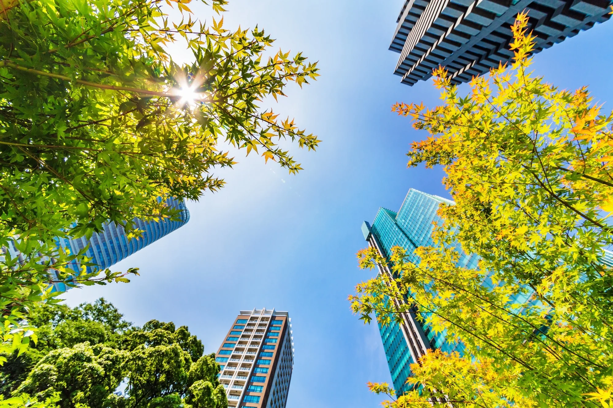 Review: The future of nature-based recreation in warming tropical cities. Image Credit: taka1022 / Shutterstock