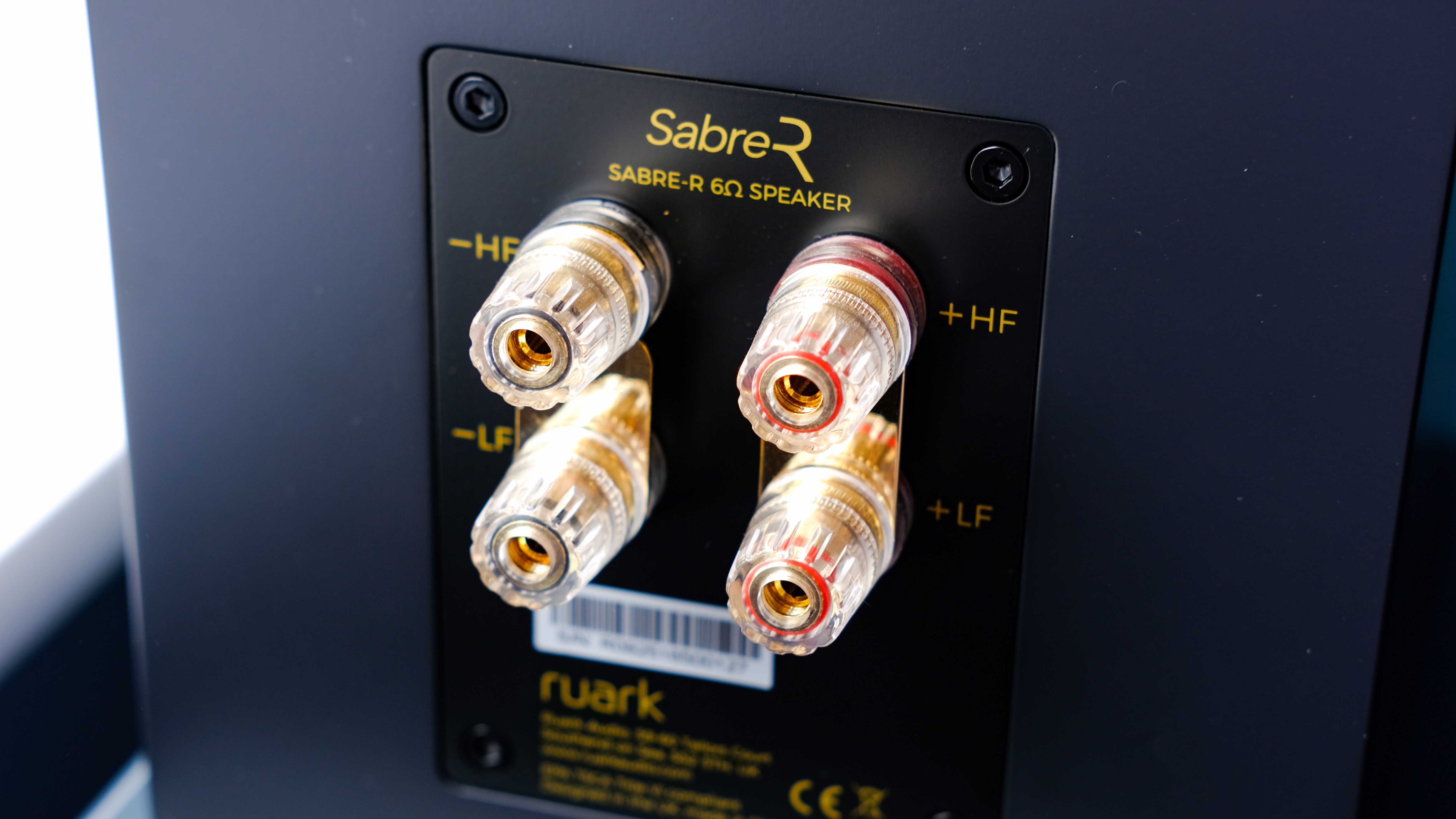 רמקולי מדף הספרים Ruark Audio Sabre-R יציאות אחוריות