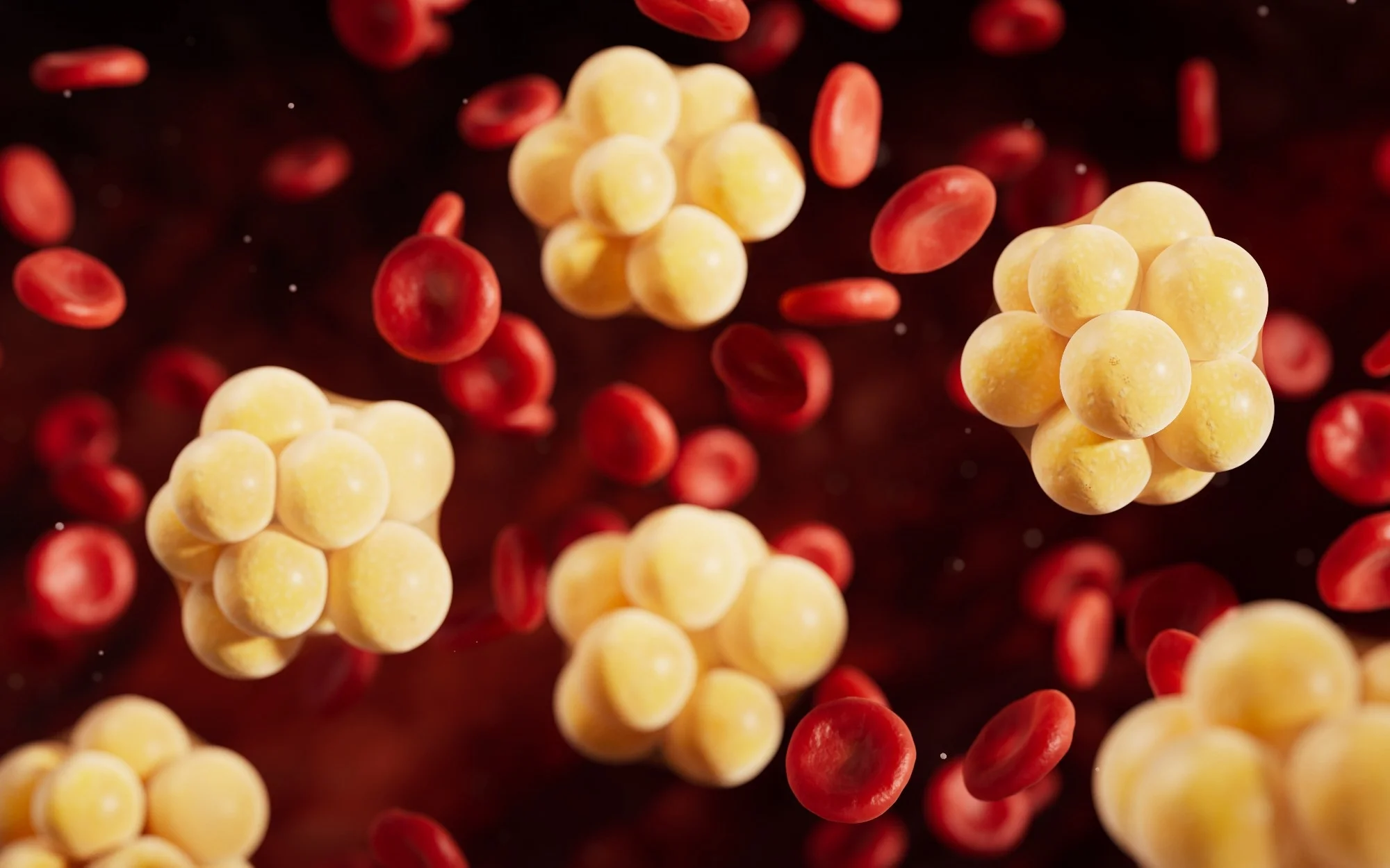Study: Vitamin D Status and Atherogenic Lipid Profiles, Including Lipoprotein(a), in Elite Athletes. Image Credit: Vink Fan / Shutterstock