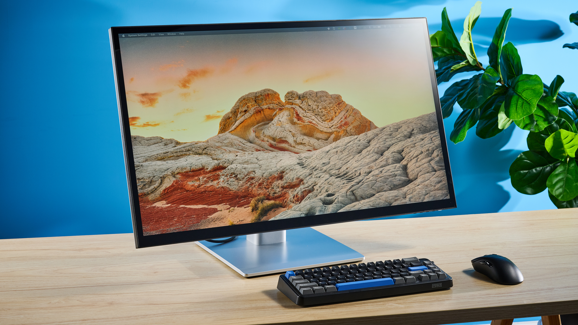צג Alogic Clarity 6K מגע עם מסך מגע