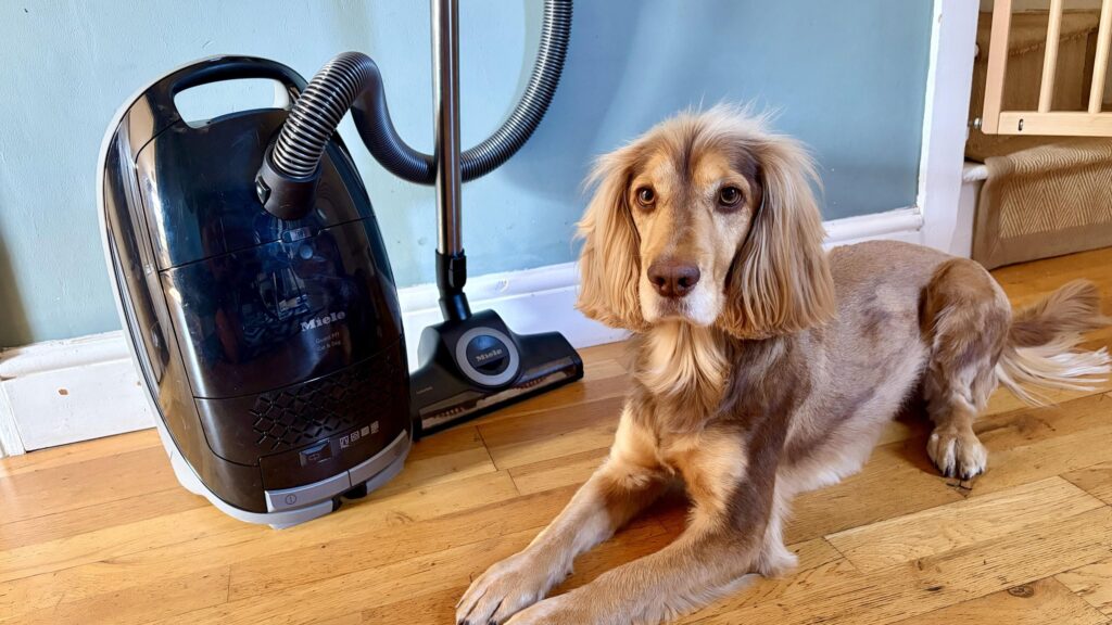 סקירת Miele Guard M1 Cat and Dog Flex: תקן הזהב לשיער חיות מחמד מאת ג'יין מקגווייר פורסם ב-16 ביולי 26 בחירת העורך הנחנו את Miele Guard M1 Cat and Dog Flex למבחן