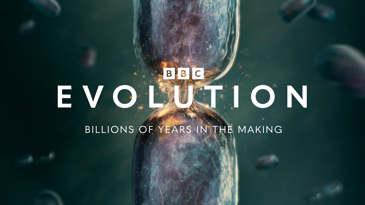 אבולוציה: טריילר רשמי | BBC Earth Science - YouTube