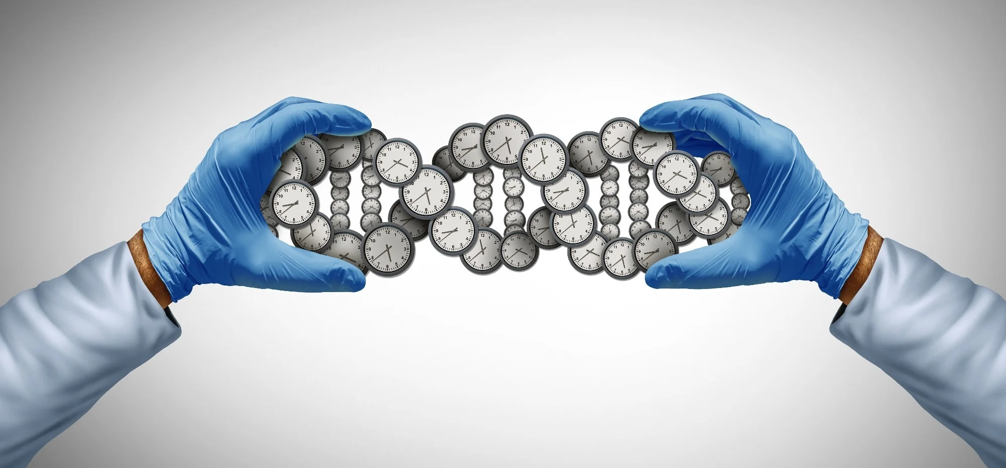Study: How epigenetic clocks tick: unpacking the black box by deciphering biological pathways and transcriptomic signatures of accelerated aging. Image Credit: Lightspring / Shutterstock