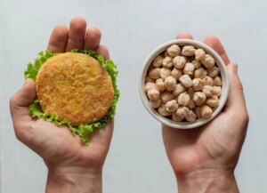 Study: Shifting to Plant-Based Protein Diets Alters Nutrient Adequacy Across Age Groups: A Dutch Dietary Modeling Study. Image Credit: mariya_evlakhova / Shutterstock