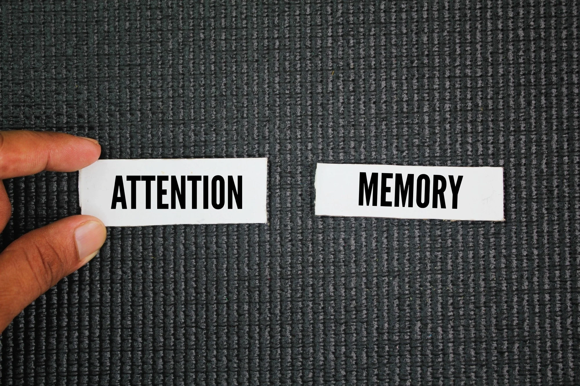 Study: Limited Attention and Dynamically Distorted Beliefs. Image Credit: MAFPHOTOART8 / Shutterstock