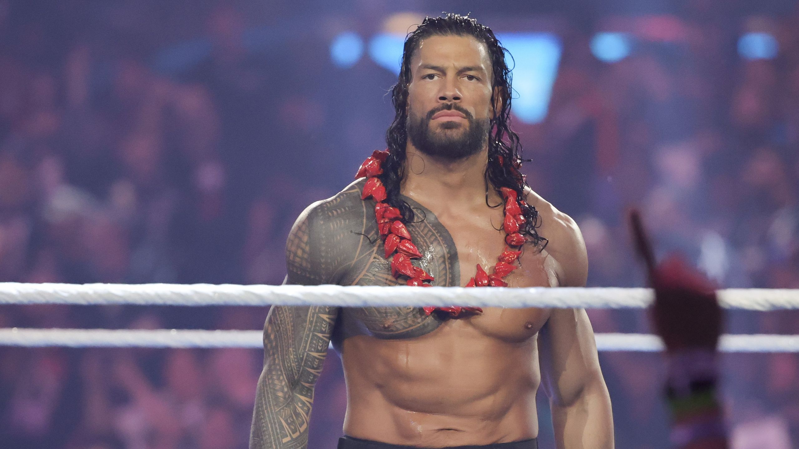 איך לצפות ב-WWE SummerSlam 2026: היאבקות בשידור חי באינטרנט; שעת התחלה, קלף, קווי עלילה ותחזיות