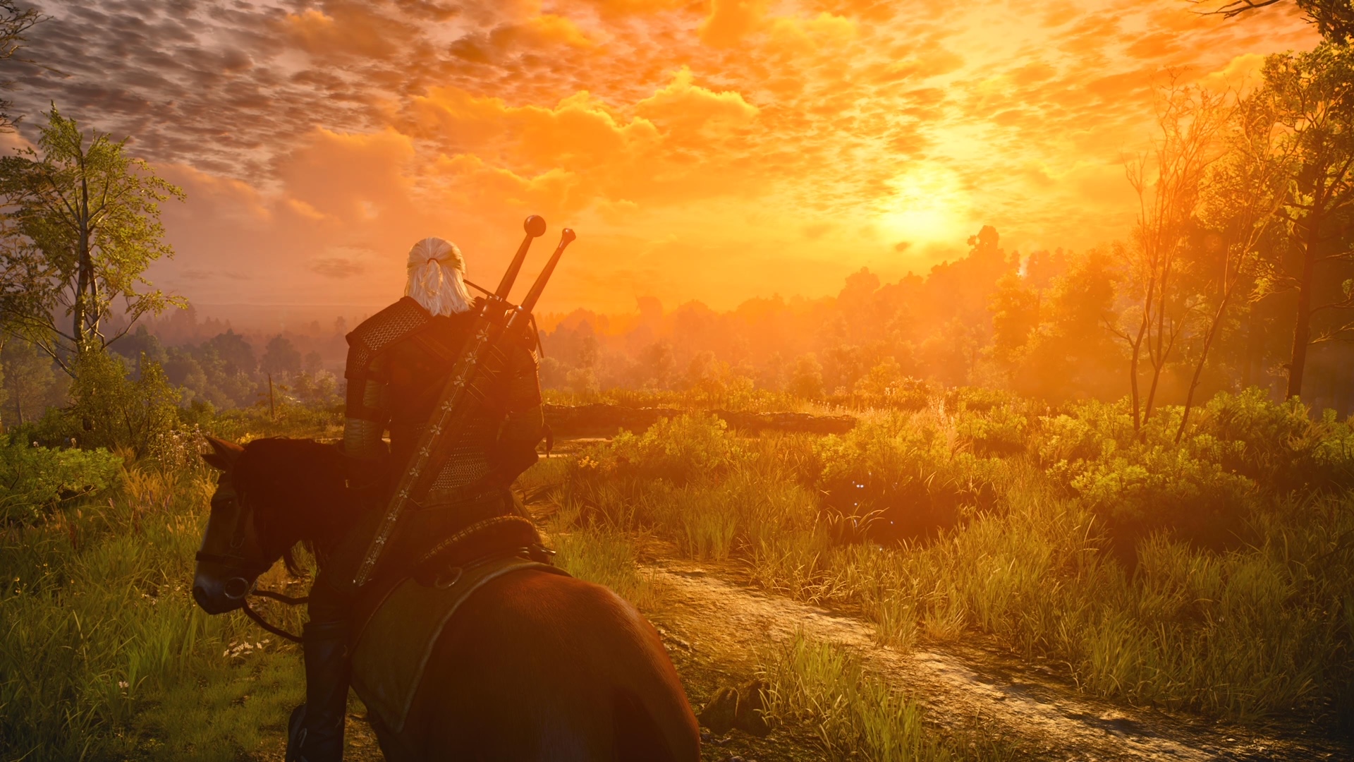 צילום מסך עדכון הדור הבא של Witcher 3