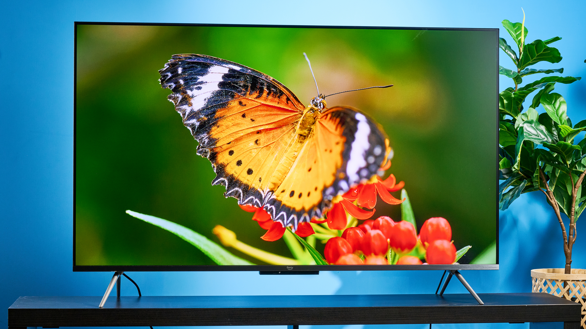 הטלוויזיה של Amazon ember qled 2025