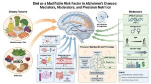 Diet as a modifiable risk factor for Alzheimer