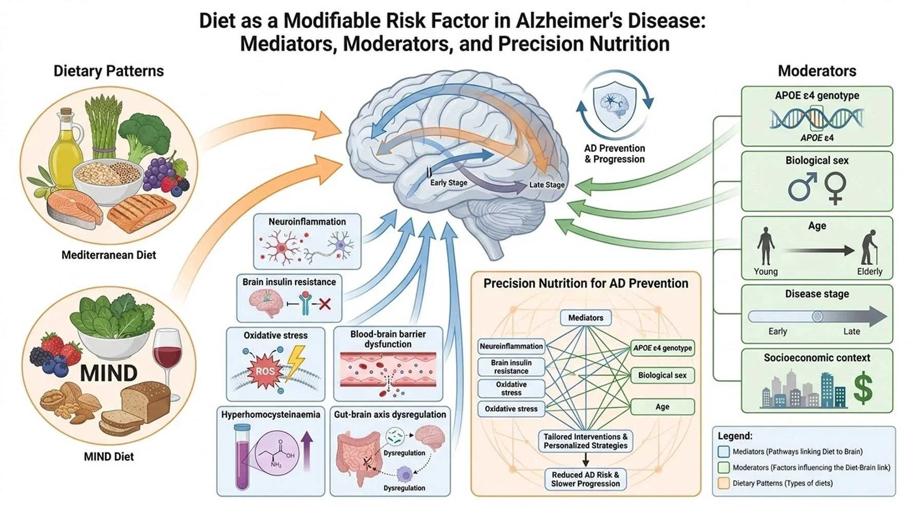 Diet as a modifiable risk factor for Alzheimer