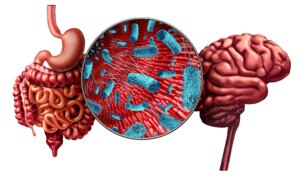 Psychobiotic Strategies for Managing Anxiety, Depression, and Schizophrenia: A Narrative Review. Image Credit: Lightspring / Shutterstock