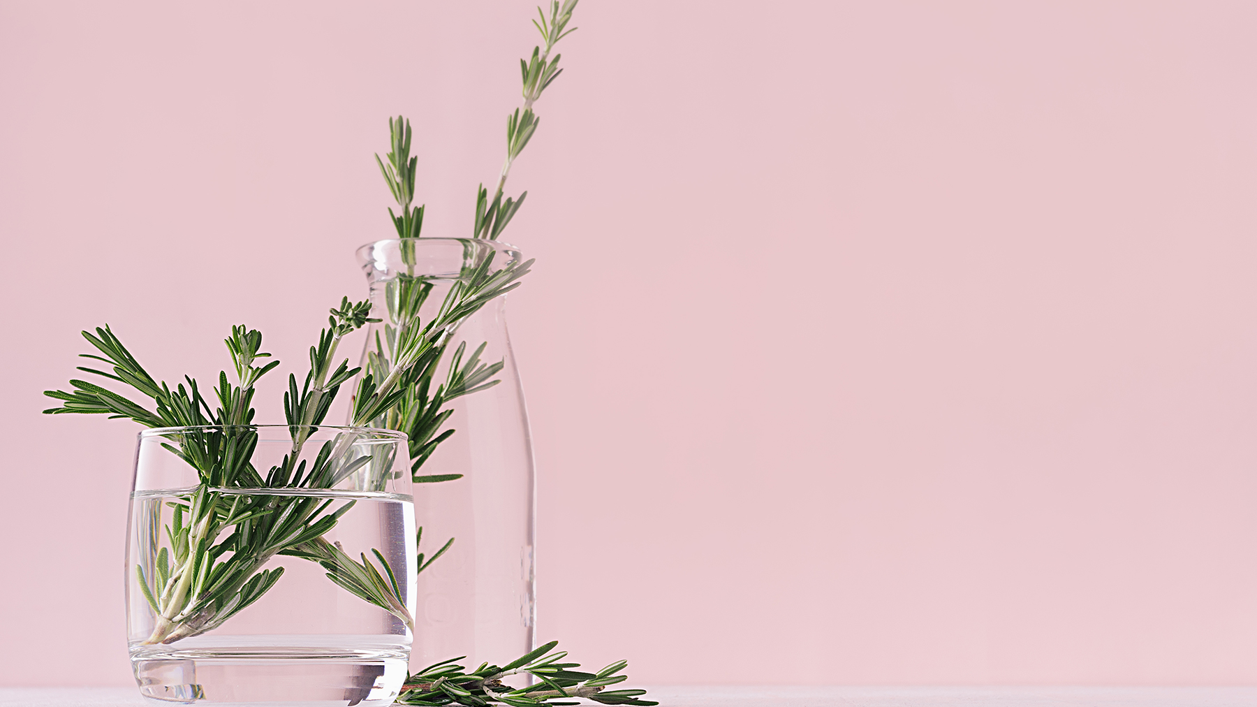 חותכים רוזמרין בשני אגרטלים מזכוכית