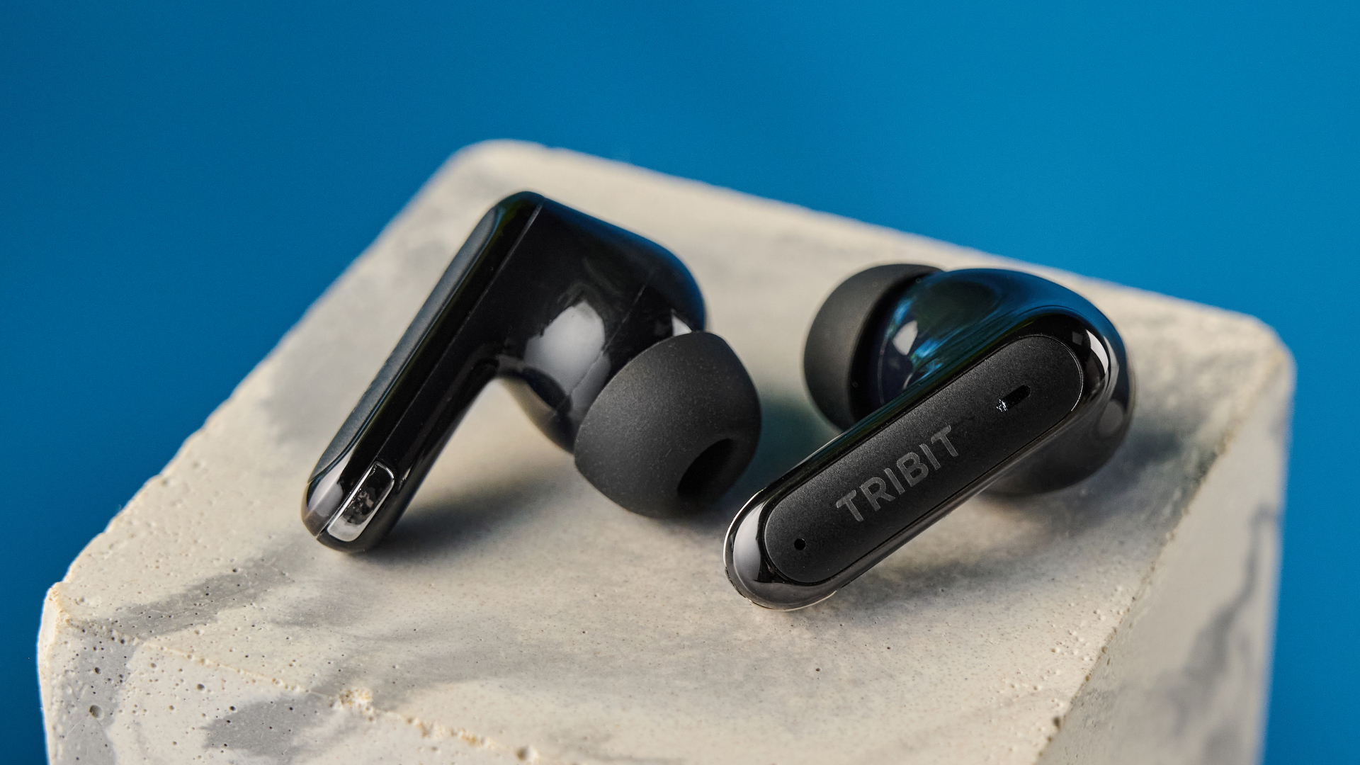 Tribit FlyBuds C3 בצבע שחור מצולם על רקע כחול עם עלים