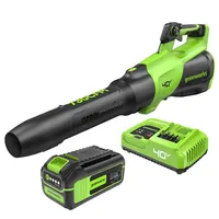 מפוח עלים אלחוטי של Greenworks 