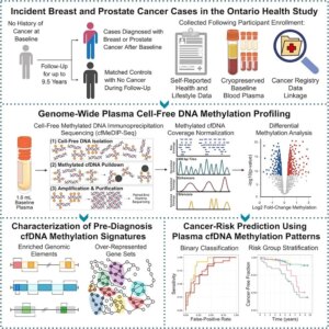 Study: Pre-diagnosis plasma cell-free DNA reveals early signatures of prostate and breast cancer risk up to eight years prior to clinical detection