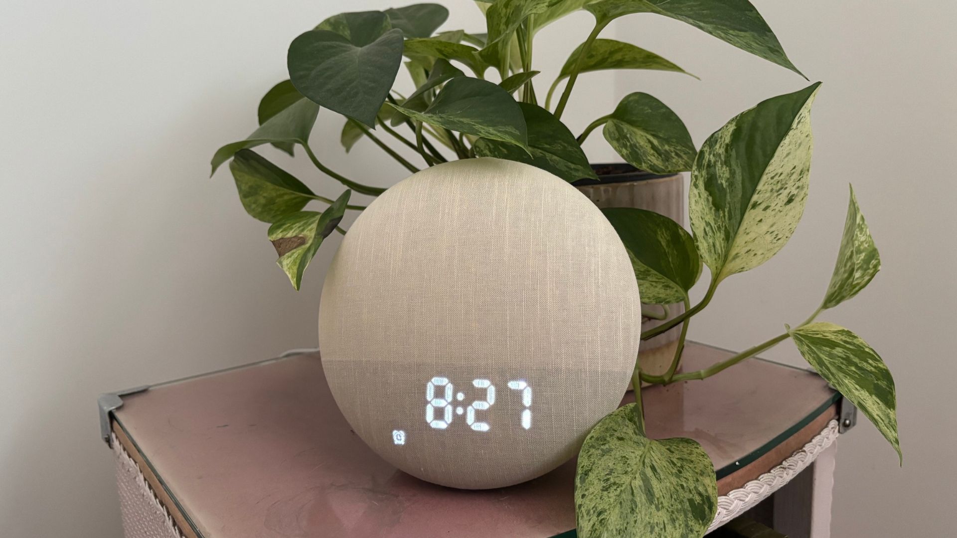 שעוני הזריחה העגולים של Dreamegg Sunrise 2 יושבים על שידת לילה באור יום טבעי, מונח ליד עציץ ירוק. זמן התצוגה נכתב: 8:27