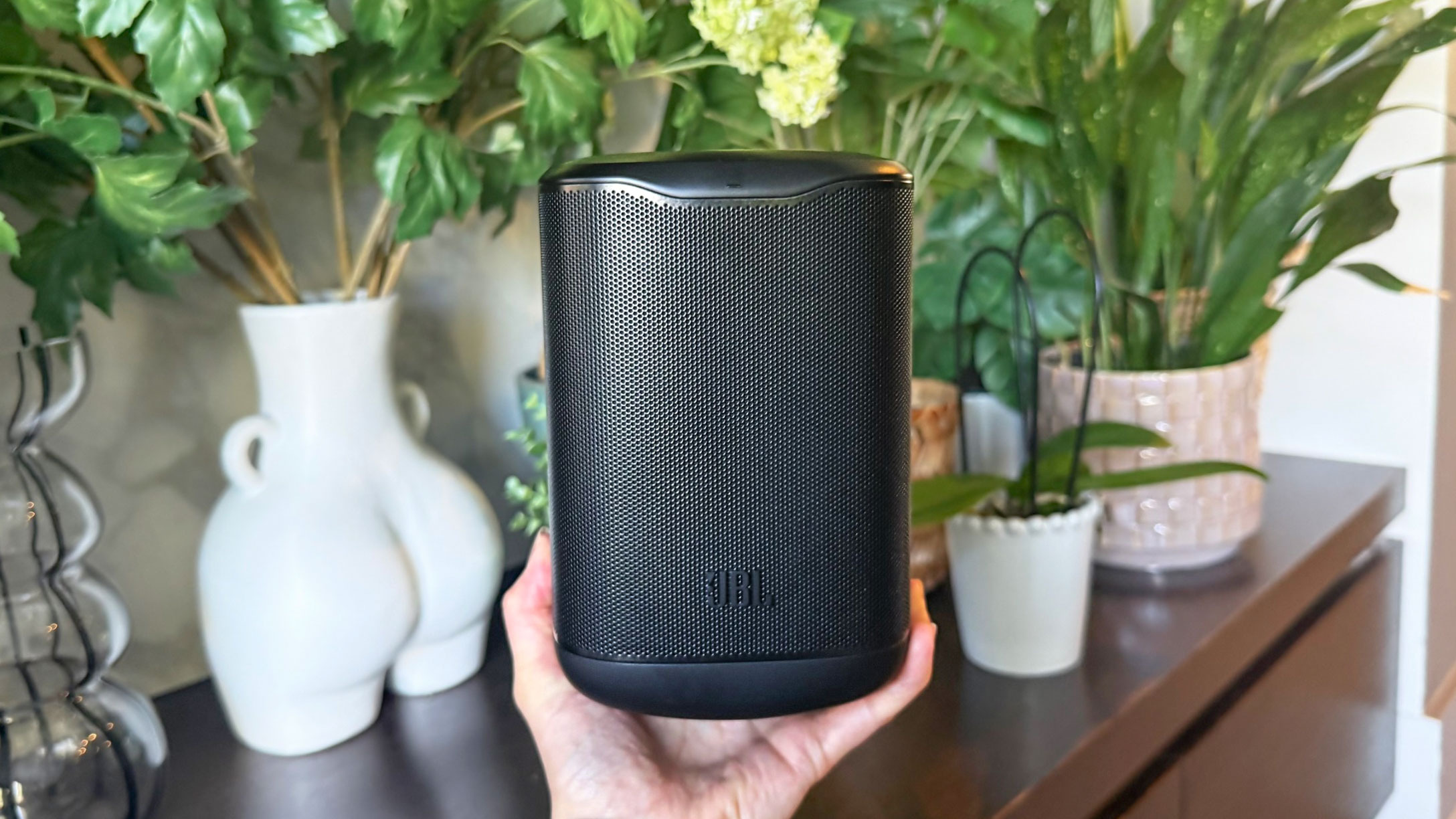 תמונה של המפרץ jbl p1 עם צמחים ברקע