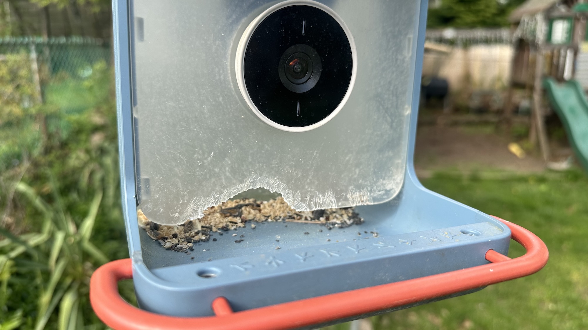 BirdBuddy Home נלעס על ידי סנאים