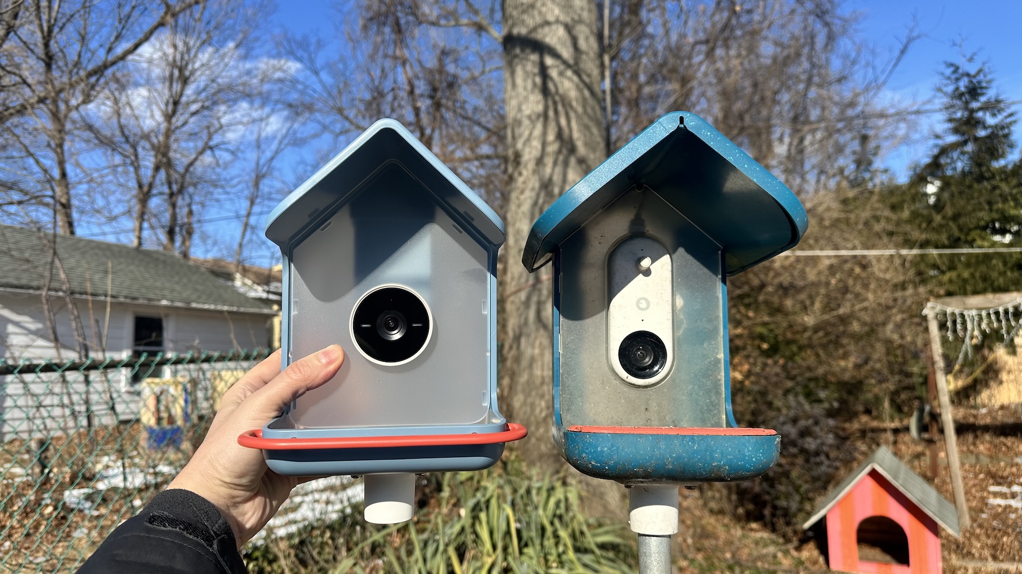 BirdBuddy Home (משמאל) ליד BirdBuddy Pro (מימין)