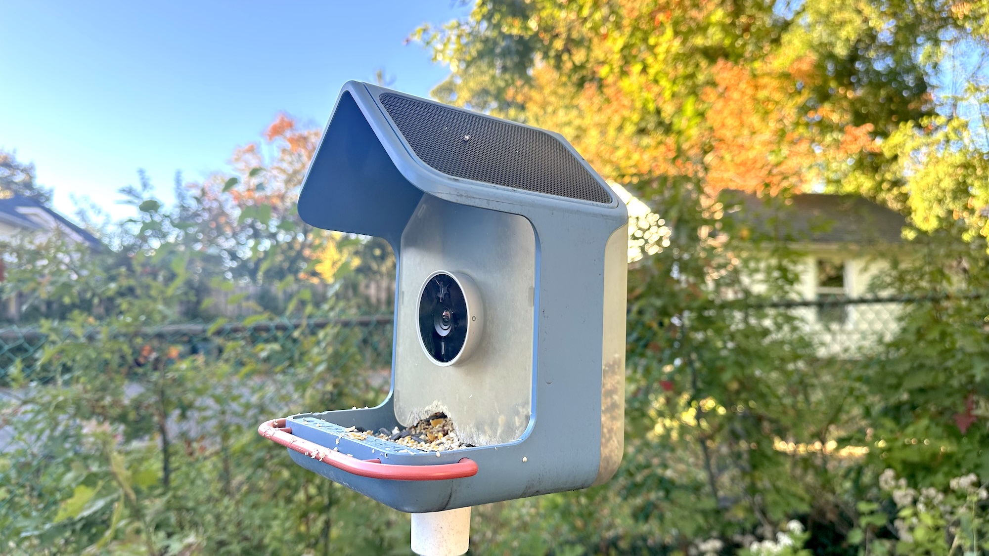 בית BirdBuddy לאחר 10 חודשים