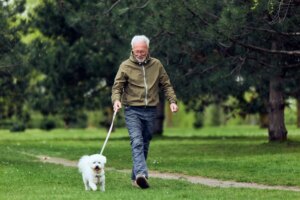 Study: Physical activity and blood pressure as predictors of cognitive function in the all of us research program. Image Credit: Branislav Nenin / Shutterstock