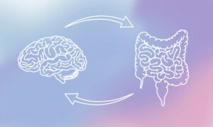 Gut brain axis connection