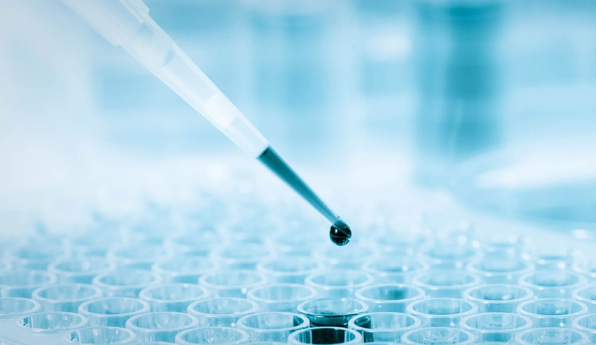 Study: Metabolomic aging and mortality clocks based on ensemble learning identify systemic aging risk across the human life span in 18,476 individuals. Image Credit: luchschenF / Shutterstock