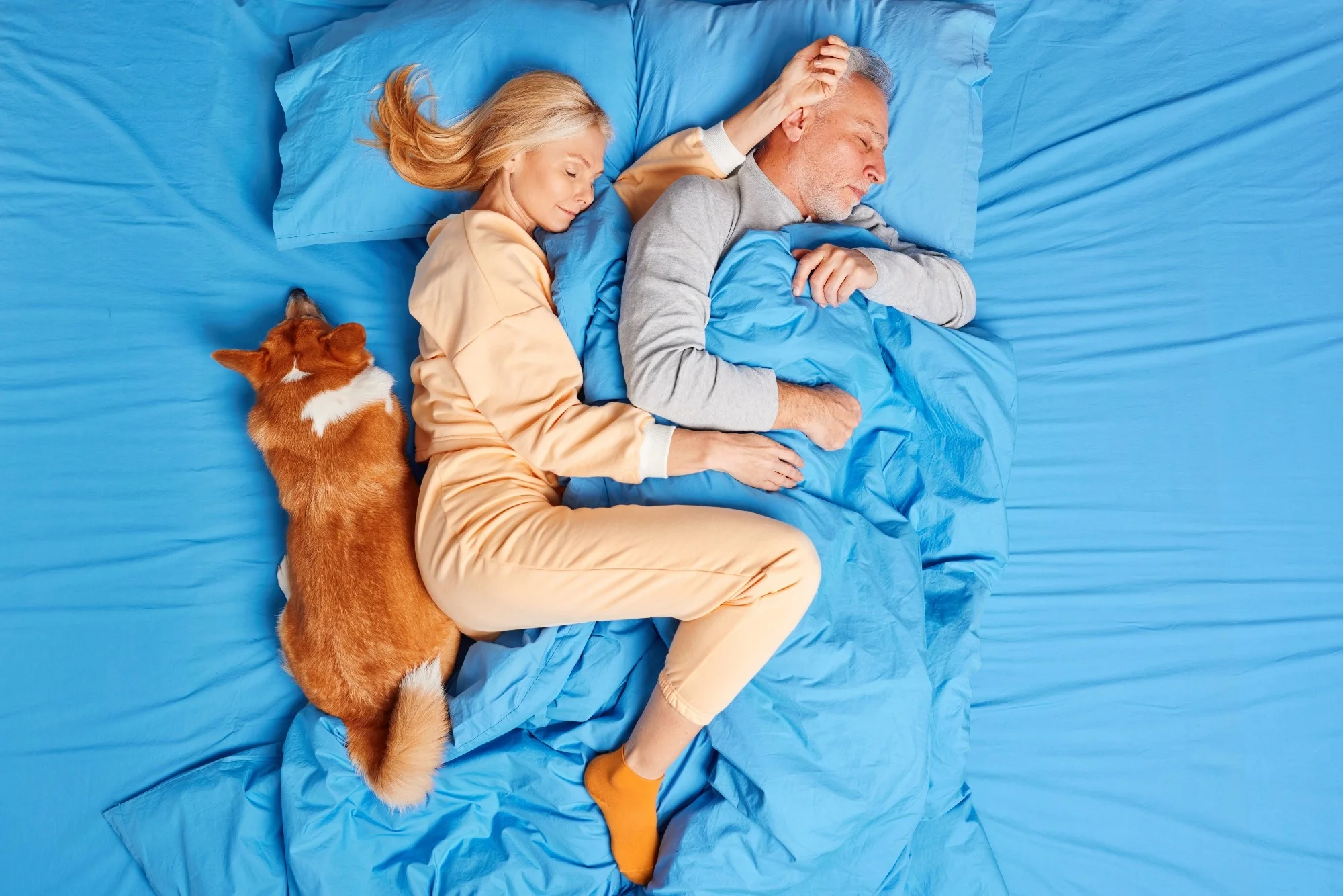Study: Who is disrupting whom? Examining the nighttime activity patterns of humans and their dogs. Image Credit: Cast Of Thousands / Shutterstock