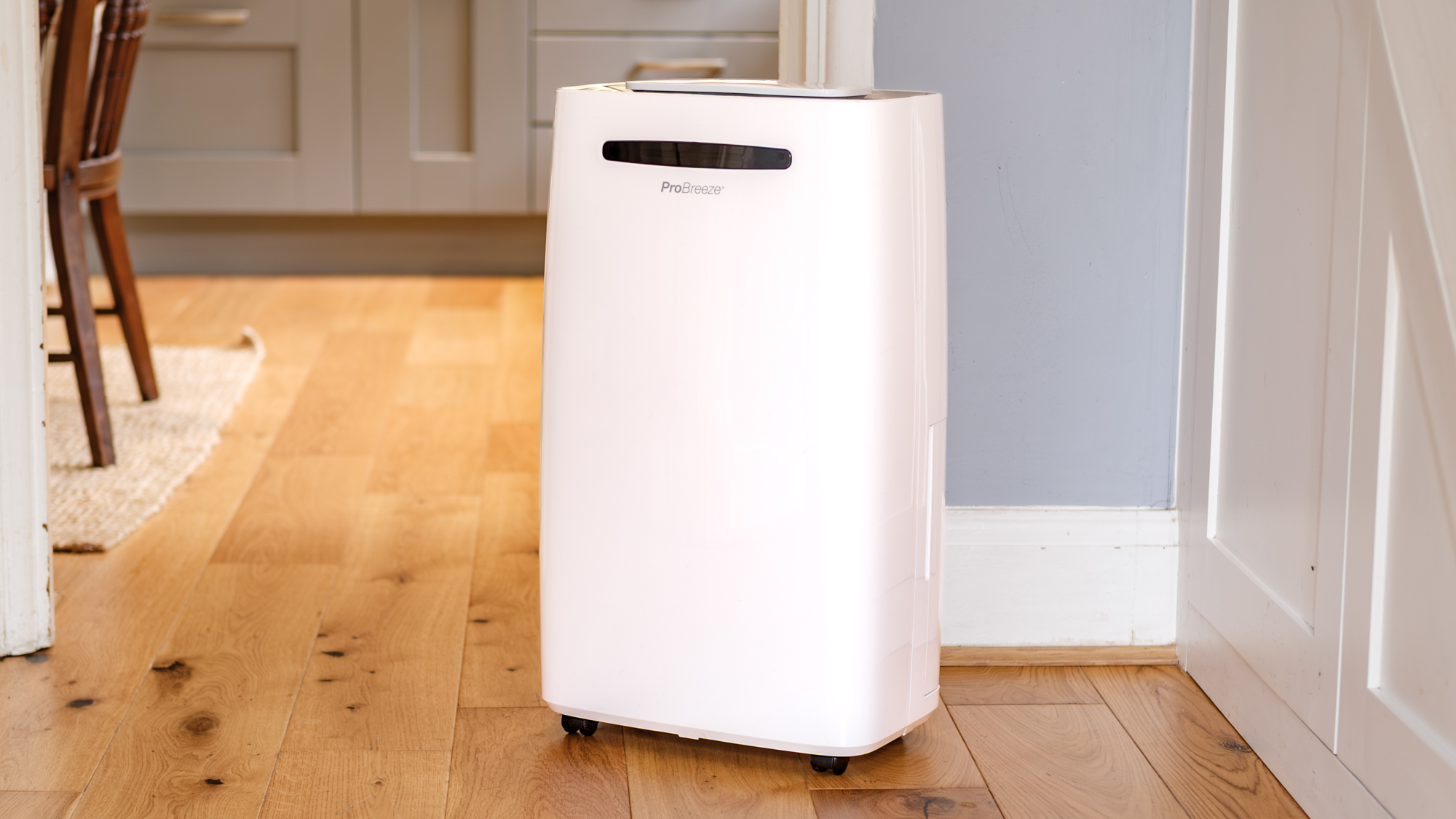 מסיר לחות Pro Breeze 50 ליטר על רצפת עץ קשה בסביבה ביתית