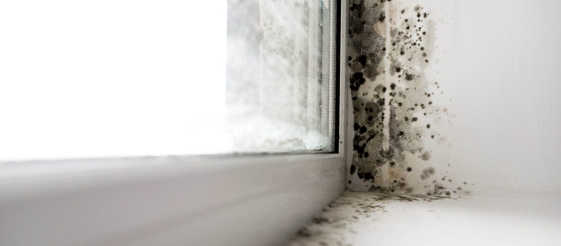 Mold around window