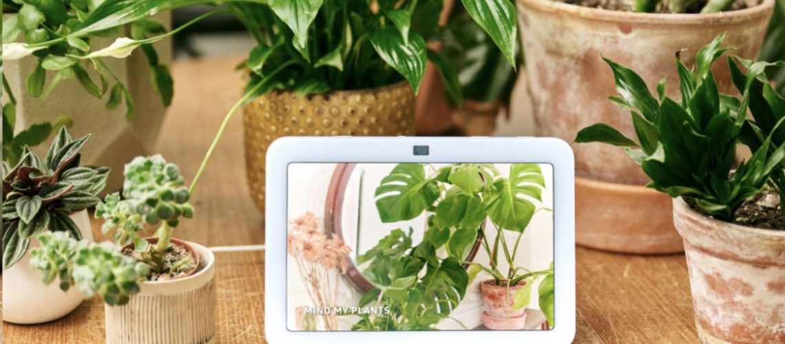 Echo Show surrounded by plants