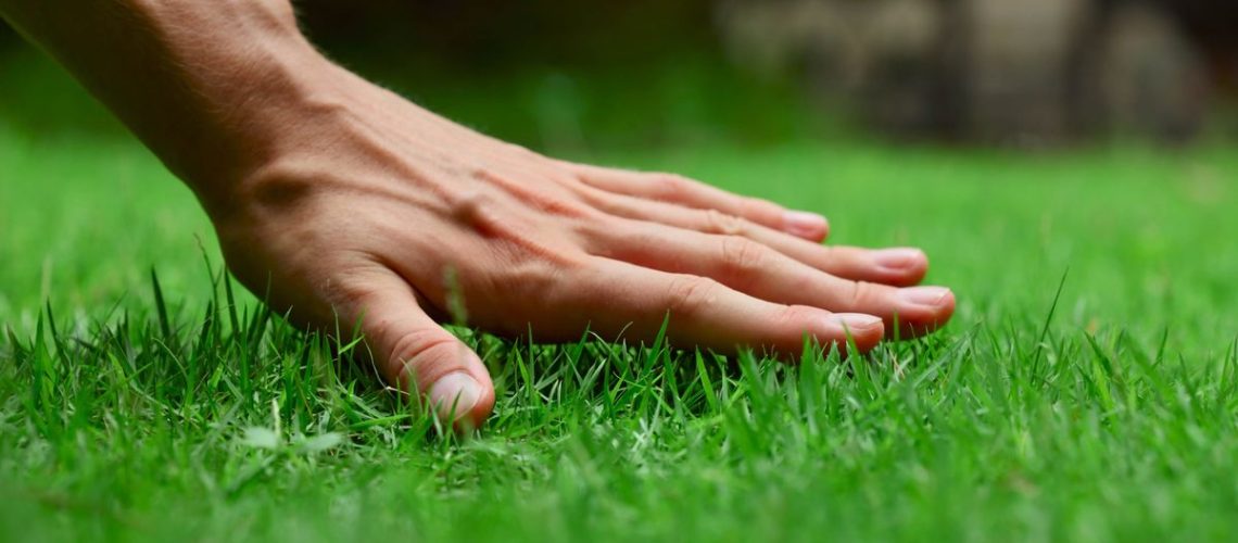 A hand touching the grass in the yard