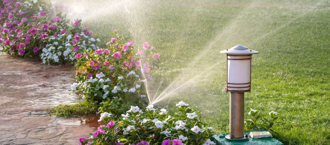 Watering garden with sprinkler